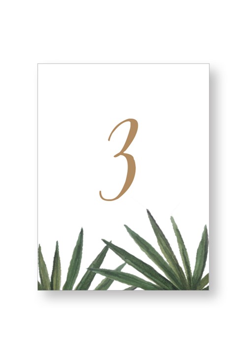 Palm Table Numbers
